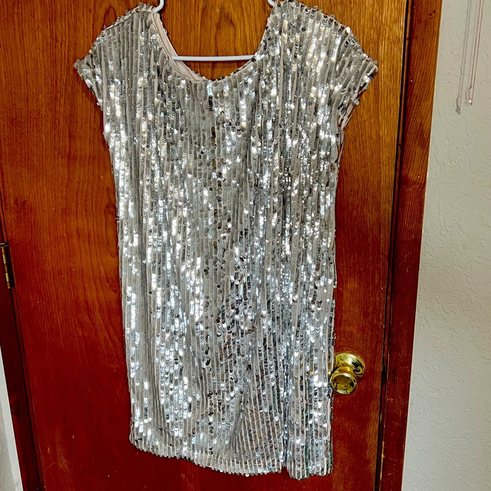 Silver sequin dress, size large. Brand new with tags.